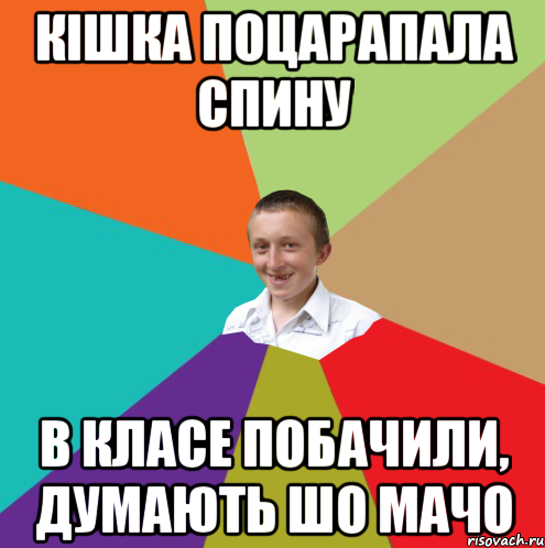 Кішка поцарапала спину в класе побачили, думають шо мачо, Мем  малый паца