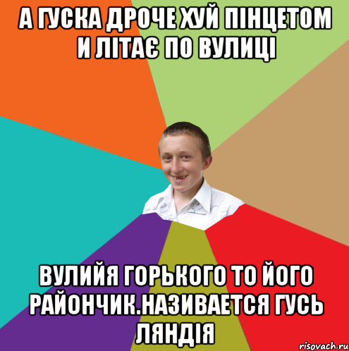 а гуска дроче хуй пінцетом и літає по вулиці вулийя горького то його райончик.Називается гусь ляндія, Мем  малый паца