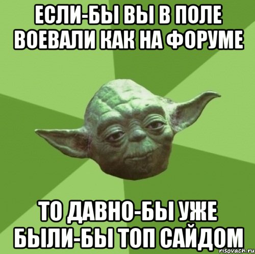 если-бы вы в поле воевали как на форуме то давно-бы уже были-бы топ сайдом, Мем Мастер Йода