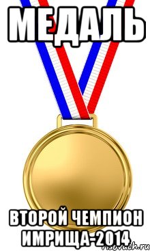медаль второй чемпион имрища-2014