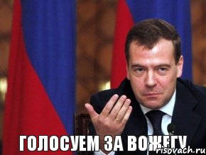 Голосуем за Вожегу, Комикс медвед-модернизатор