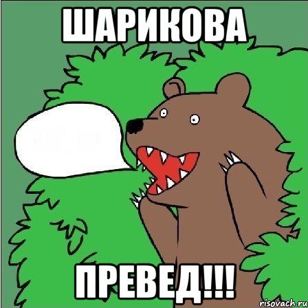 Шарикова превед!!!, Мем Медведь-шлюха