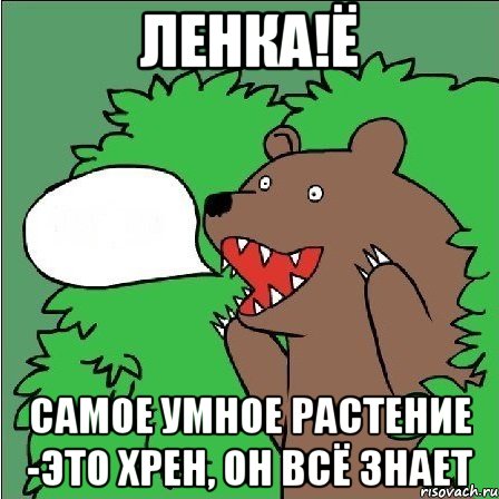 Ленка!Ё Самое умное растение -это хрен, он всё знает, Мем Медведь-шлюха