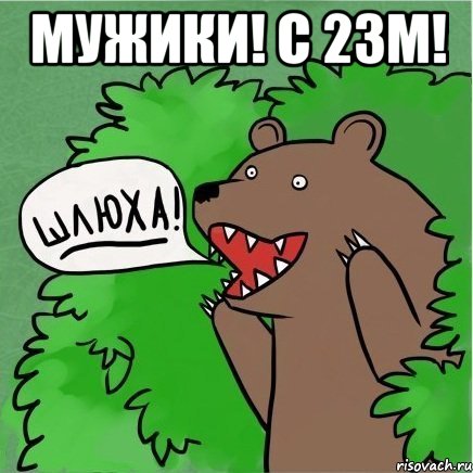 Мужики! с 23м! , Мем Медведь в кустах