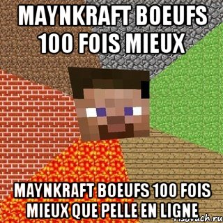 maynkraft boeufs 100 fois mieux maynkraft boeufs 100 fois mieux que pelle en ligne, Мем Миникрафтер