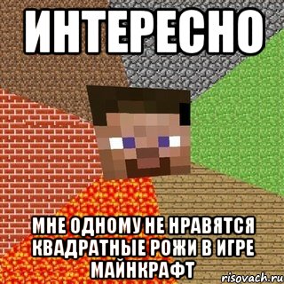 Интересно Мне одному не нравятся квадратные рожи в игре майнкрафт, Мем Миникрафтер