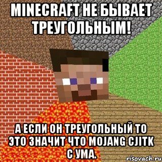 MINECRAFT НЕ БЫВАЕТ ТРЕУГОЛЬНЫМ! А ЕСЛИ ОН ТРЕУГОЛЬНЫЙ ТО ЭТО ЗНАЧИТ ЧТО MOJANG CJITK C УМА., Мем Миникрафтер