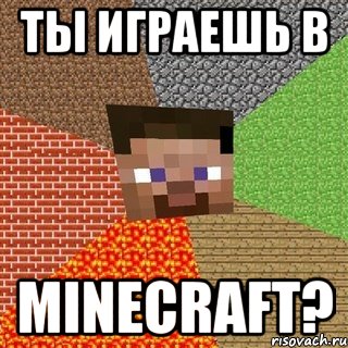 Ты Играешь в MINECRAFT?, Мем Миникрафтер