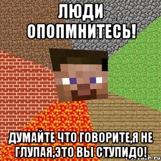 Люди опопмнитесь! Думайте что говорите,я не глупая,это вы ступидо!, Мем Миникрафтер