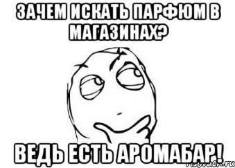 ЗАЧЕМ ИСКАТЬ ПАРФЮМ В МАГАЗИНАХ? ВЕДЬ ЕСТЬ АРОМАБАР!, Мем Мне кажется или