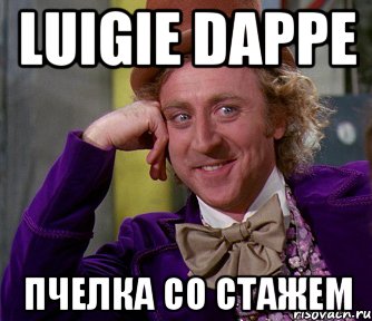 Luigie Dappe Пчелка со стажем, Мем мое лицо