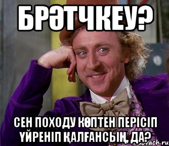 брәтчкеу? Сен Походу көптен перісіп үйреніп қалғансың, да?, Мем мое лицо