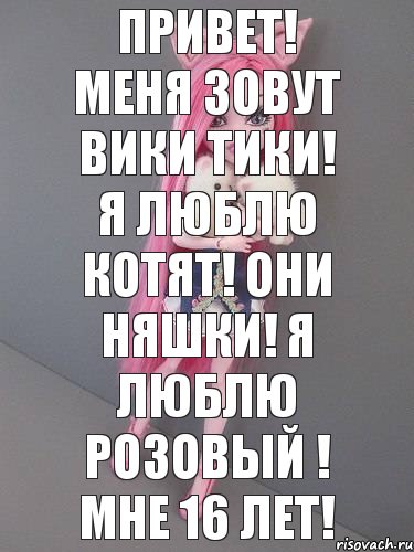 Привет! Меня зовут Вики Тики! Я люблю котят! Они няшки! Я люблю розовый ! Мне 16 лет!