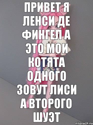 Привет я Ленси де фингел а это мои котята одного зовут лиси а второго шуэт