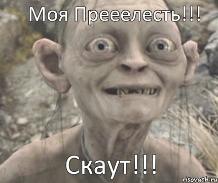 Скаут!!! Моя Прееелесть!!!