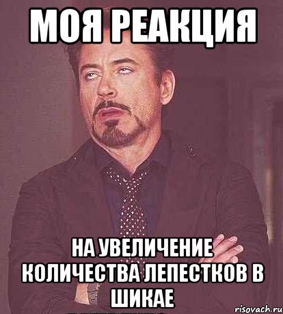 МОЯ РЕАКЦИЯ НА УВЕЛИЧЕНИЕ КОЛИЧЕСТВА ЛЕПЕСТКОВ В ШИКАЕ, Мем  Мое выражение лица (вертик)