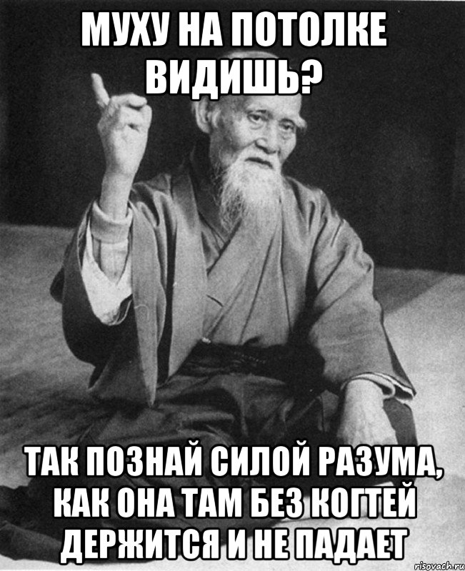 МУХУ НА ПОТОЛКЕ ВИДИШЬ? ТАК ПОЗНАЙ СИЛОЙ РАЗУМА, КАК ОНА ТАМ БЕЗ КОГТЕЙ ДЕРЖИТСЯ И НЕ ПАДАЕТ, Мем Монах-мудрец (сэнсей)