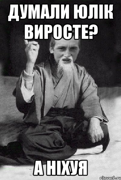 Думали Юлік виросте? А Ніхуя, Мем Мудрий паца