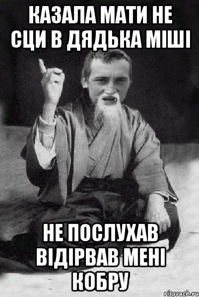 КАЗАЛА МАТИ НЕ СЦИ В ДЯДЬКА МІШІ НЕ ПОСЛУХАВ ВІДІРВАВ МЕНІ КОБРУ, Мем Мудрий паца