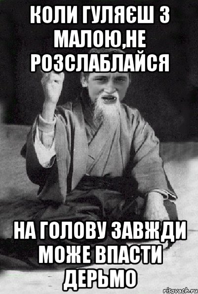 коли гуляєш з малою,не розслаблайся на голову завжди може впасти дерьмо, Мем Мудрий паца