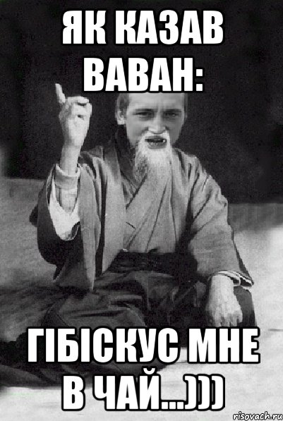 як казав ваван: гібіскус мне в чай...))), Мем Мудрий паца