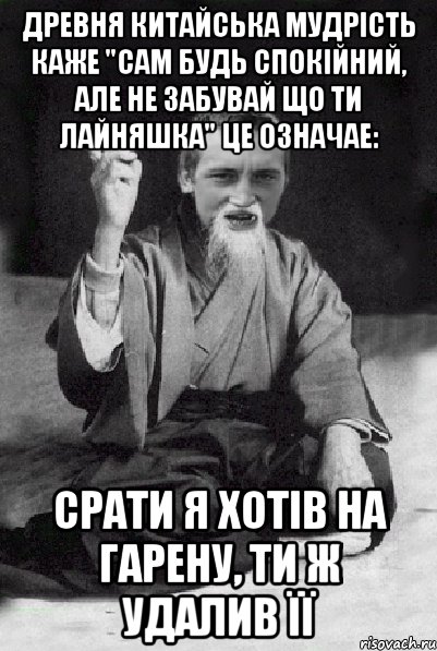 древня китайська мудрість каже "сам будь спокійний, але не забувай що ти лайняшка" це означае: срати я хотів на гарену, ти ж удалив її, Мем Мудрий паца