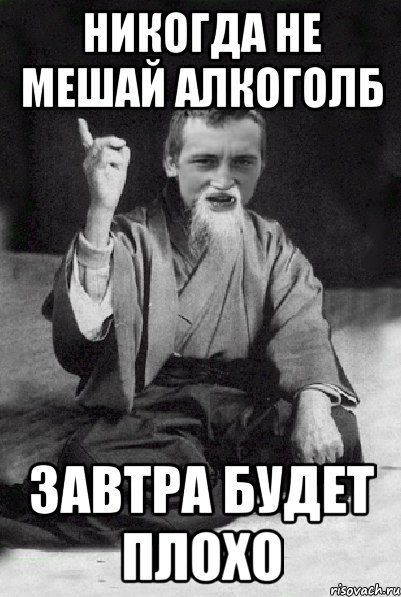 Никогда не мешай алкоголб завтра будет плохо, Мем Мудрий паца