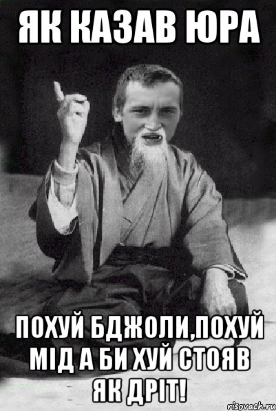 Як казав Юра Похуй бджоли,похуй мід а би хуй стояв як дріт!, Мем Мудрий паца