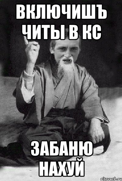 ВКЛЮЧИШЪ ЧИТЫ В КС ЗАБАНЮ НАХУЙ, Мем Мудрий паца