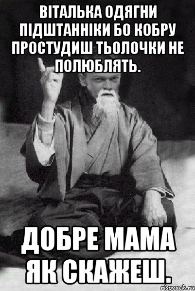 ВІТАЛЬКА ОДЯГНИ ПІДШТАННІКИ БО КОБРУ ПРОСТУДИШ ТЬОЛОЧКИ НЕ ПОЛЮБЛЯТЬ. ДОБРЕ МАМА ЯК СКАЖЕШ., Мем Мудрий Виталька