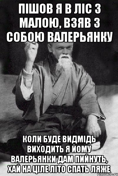 Пішов я в ліс з малою, взяв з собою валерьянку коли буде видмідь виходить я йому валерьянки дам пийнуть, хай на ціле літо спать ляже, Мем Мудрий Виталька