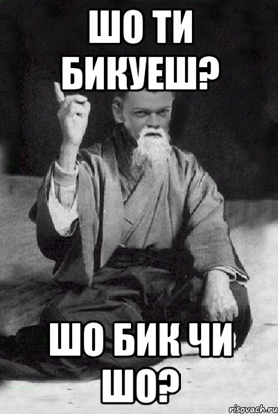 Шо ти бикуеш? шо бик чи шо?, Мем Мудрий Виталька