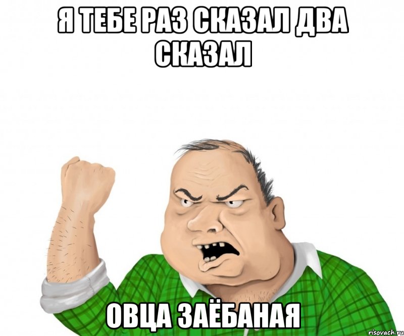 я тебе раз сказал два сказал овца заёбаная, Мем мужик