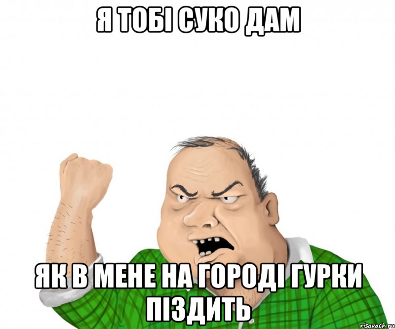 Я ТОБІ СУКО ДАМ ЯК В МЕНЕ НА ГОРОДІ ГУРКИ ПІЗДИТЬ, Мем мужик