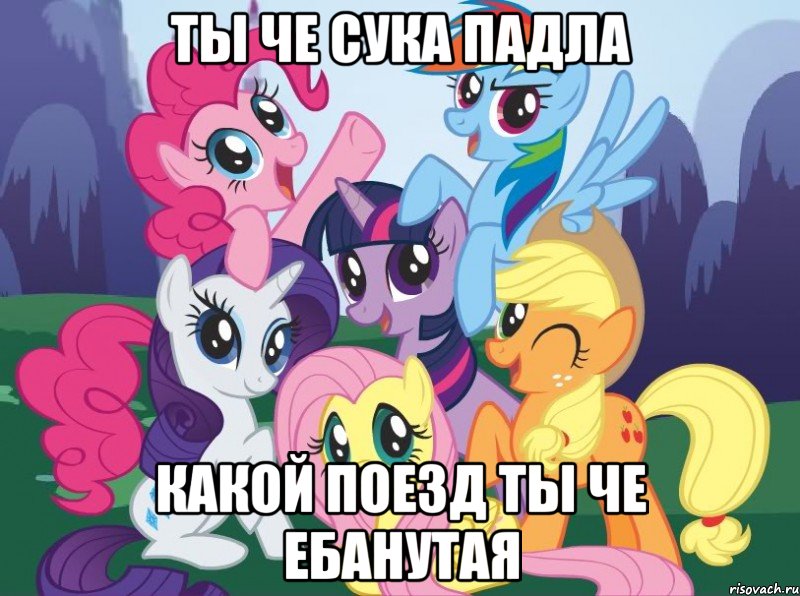 ТЫ ЧЕ СУКА ПАДЛА КАКОЙ ПОЕЗД ТЫ ЧЕ ЕБАНУТАЯ, Мем My little pony