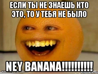 Если ты не знаешь кто это, то у тебя не было Ney Banana!!!!!!!!!!, Мем Надоедливый апельсин