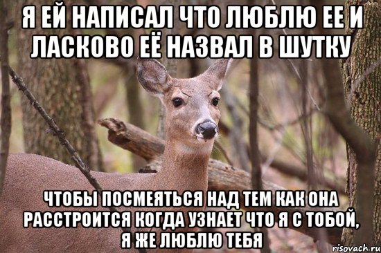 Я ей написал что люблю ее и ласково её назвал в шутку Чтобы посмеяться над тем как она расстроится когда узнает что я с тобой, я же люблю тебя, Мем Наивная олениха