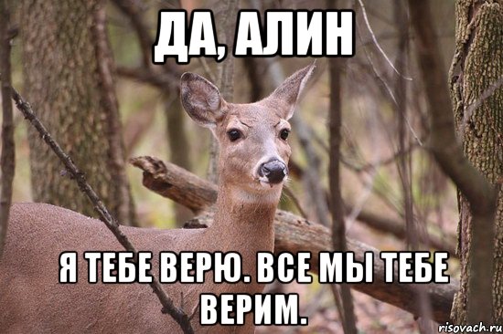 Да, Алин Я тебе верю. все мы тебе верим.