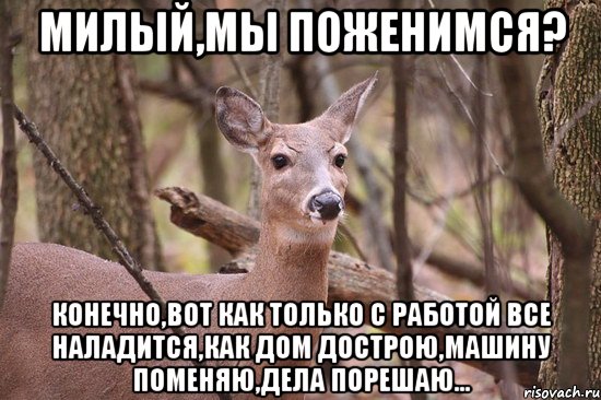 Милый,мы поженимся? конечно,вот как только с работой все наладится,как дом дострою,машину поменяю,дела порешаю..., Мем Наивная олениха