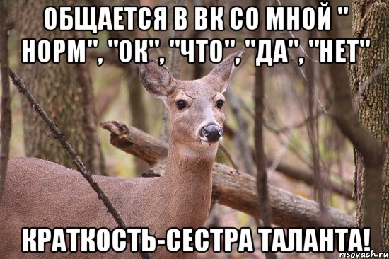 Общается в ВК со мной " норм", "ок", "что", "да", "нет" Краткость-сестра таланта!, Мем Наивная олениха