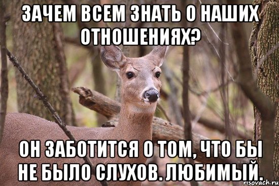 Зачем всем знать о наших отношениях? Он заботится о том, что бы не было слухов. любимый.