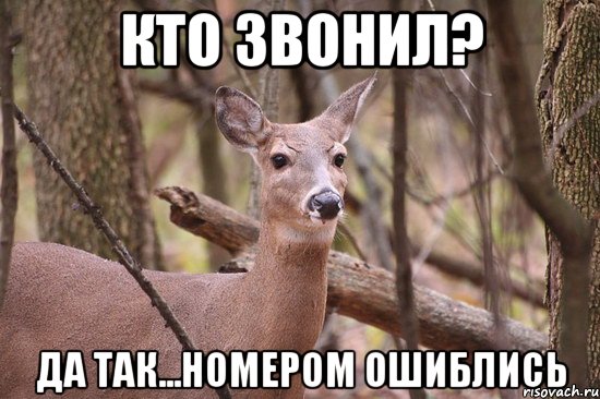 кто звонил? да так...номером ошиблись