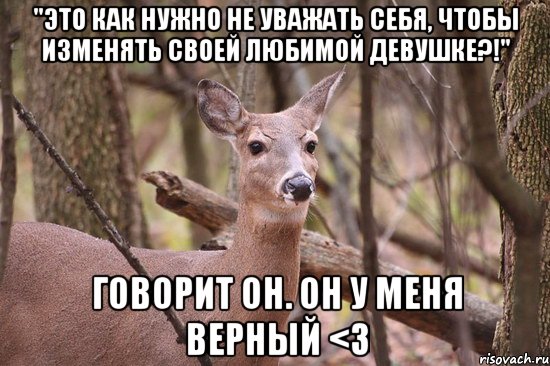 "это как нужно не уважать себя, чтобы изменять своей любимой девушке?!" говорит он. он у меня верный <3