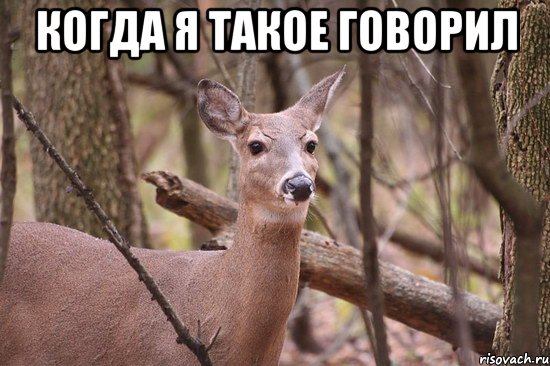 когда я такое говорил 