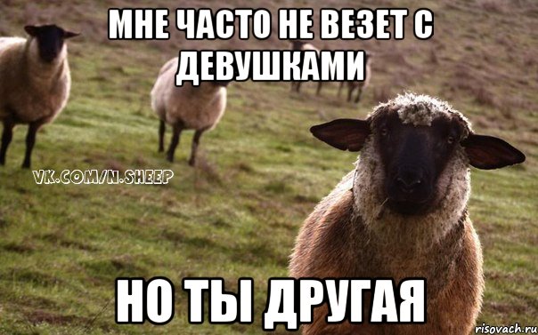 Мне часто не везет с девушками Но ты другая, Мем  Наивная Овца