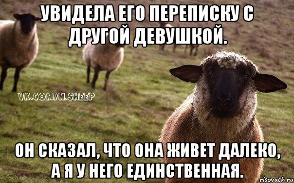 Увидела его переписку с другой девушкой. Он сказал, что она живет далеко, а я у него единственная., Мем  Наивная Овца