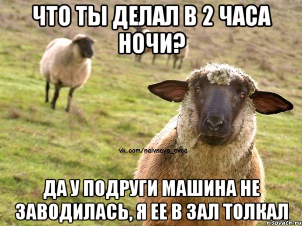 Что ты делал в 2 часа ночи? Да у подруги машина не заводилась, я ее в зал толкал, Мем  Наивная Овца