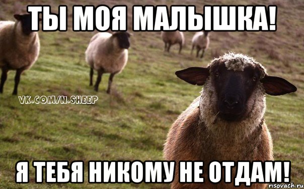 Ты моя малышка! Я тебя никому не отдам!, Мем  Наивная Овца