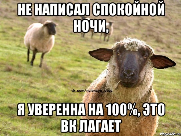 не написал спокойной ночи, я уверенна на 100%, это вк лагает, Мем  Наивная Овца