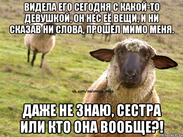 видела его сегодня с какой-то девушкой, он нес её вещи, и ни сказав ни слова, прошел мимо меня. даже не знаю, сестра или кто она вообще?!, Мем  Наивная Овца